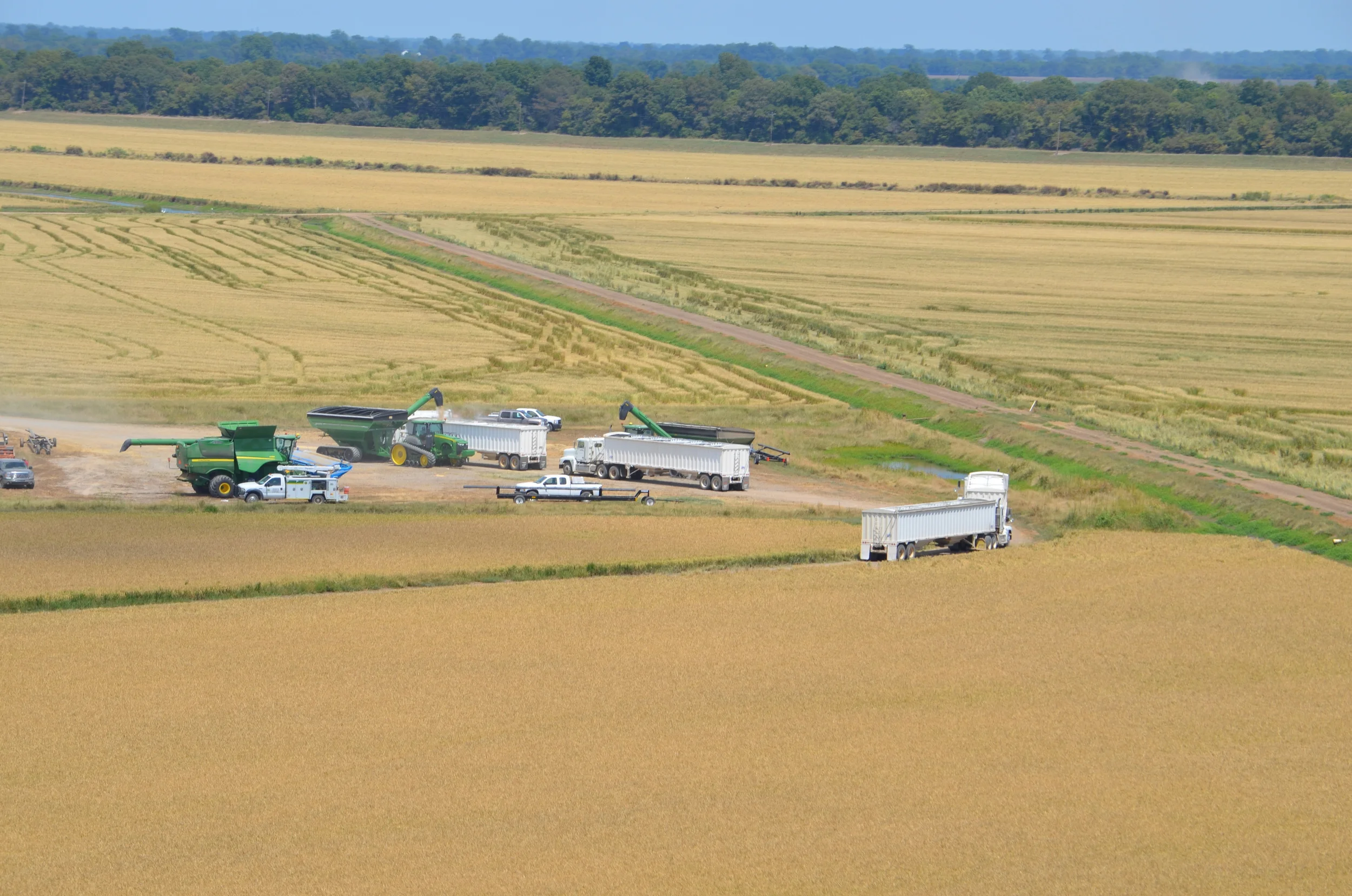 A view from the air of rice harvest