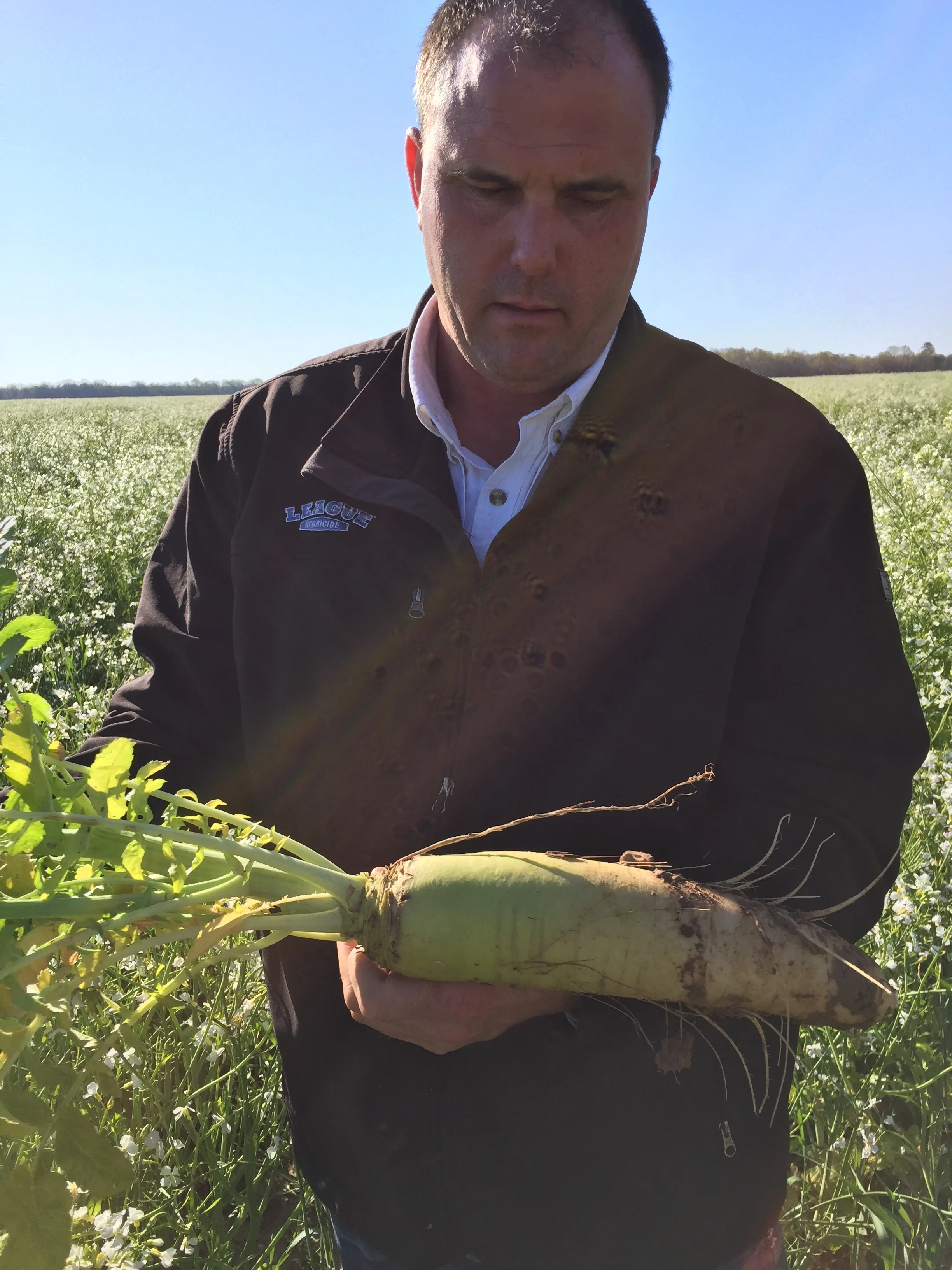 Jim holding a radish from Whitaker Farms' cover crop