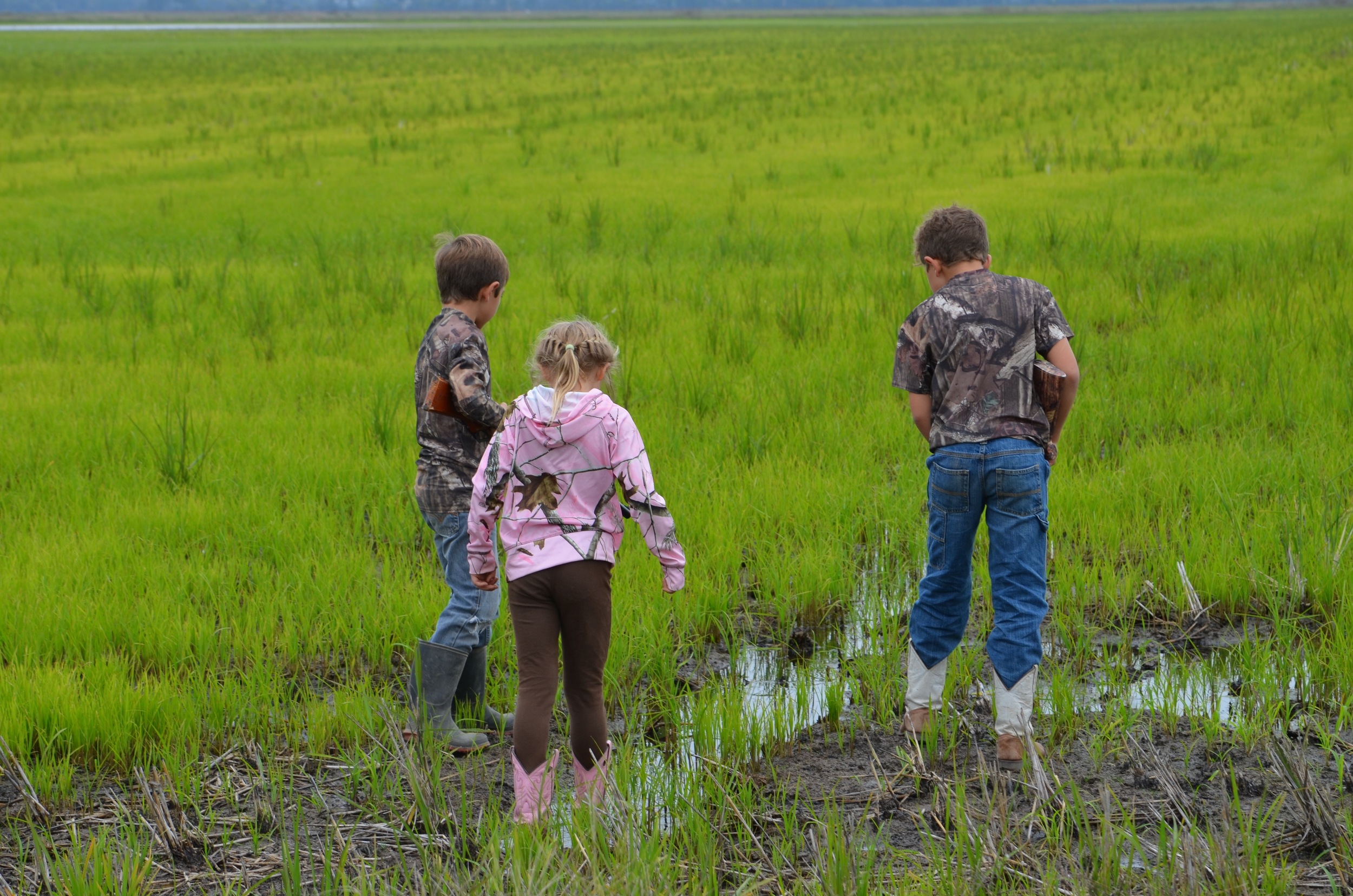 discovering nature 