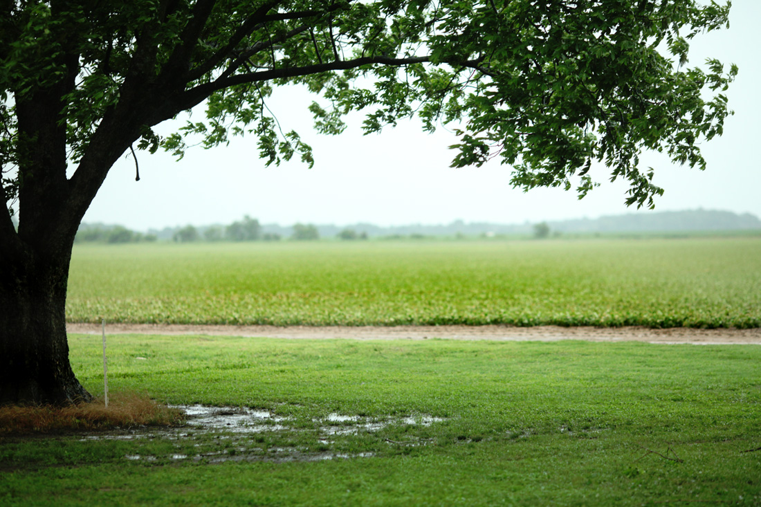 The rain just kept coming at the farm during Tropical Storm Cindy.