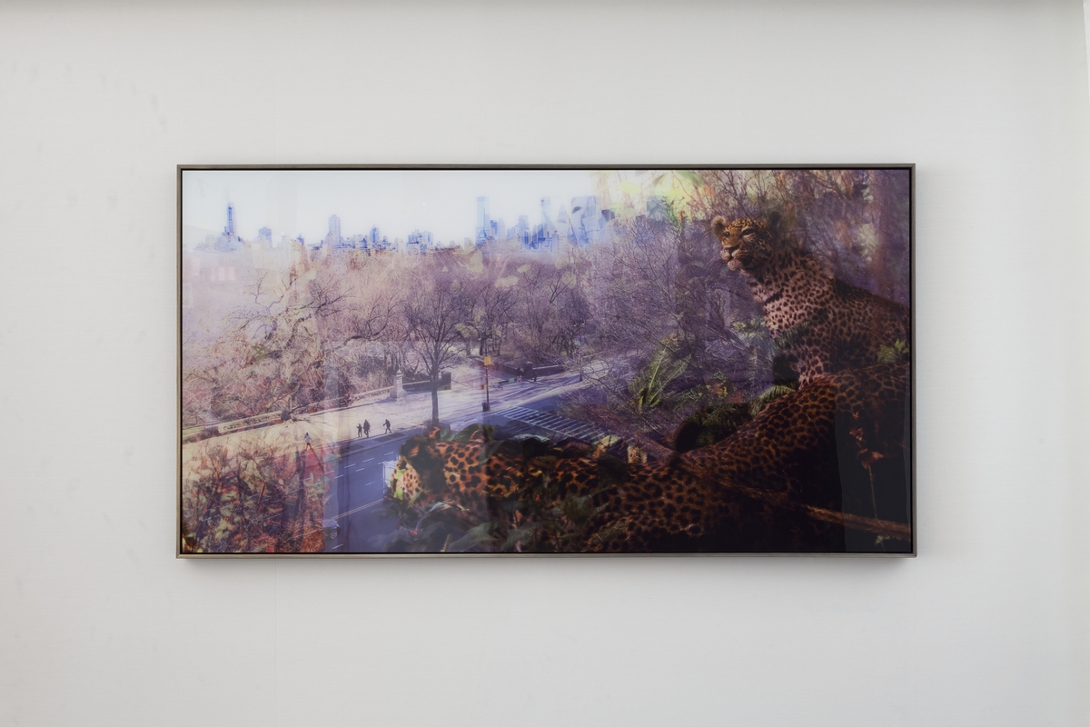 DREAM HOTEL, NEW YORK - Curated by Indiewalls