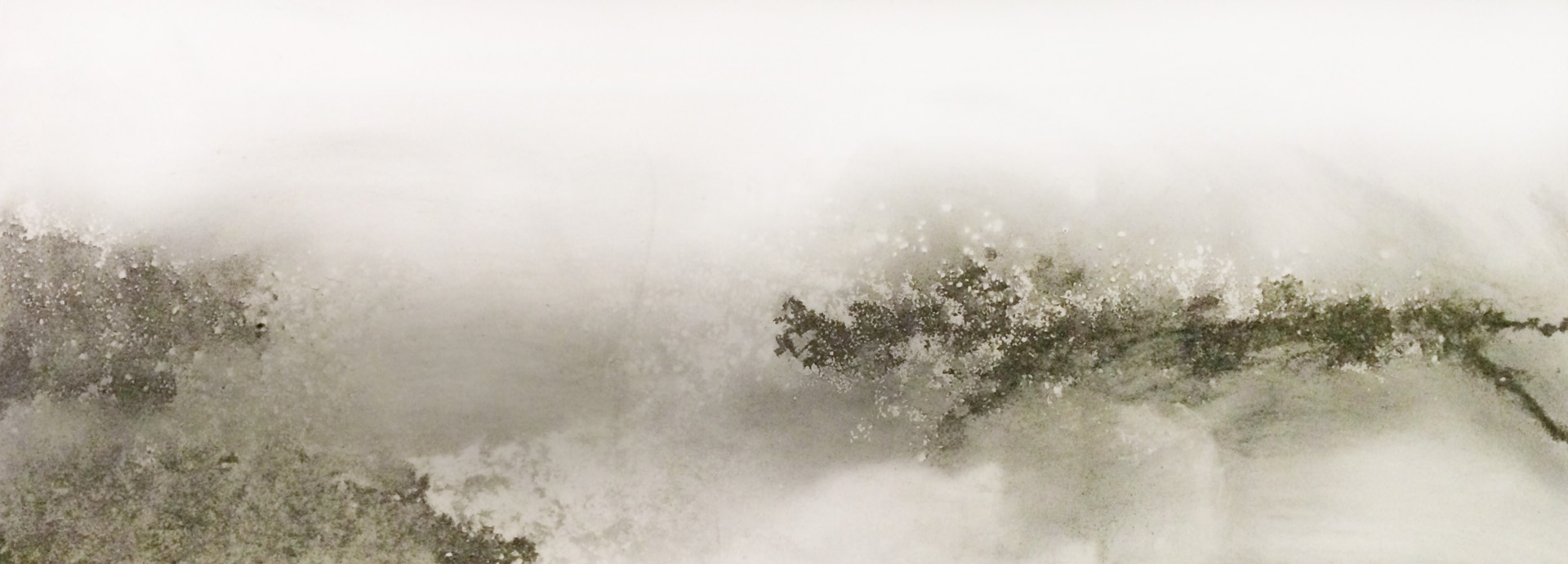 Fog at the Coast