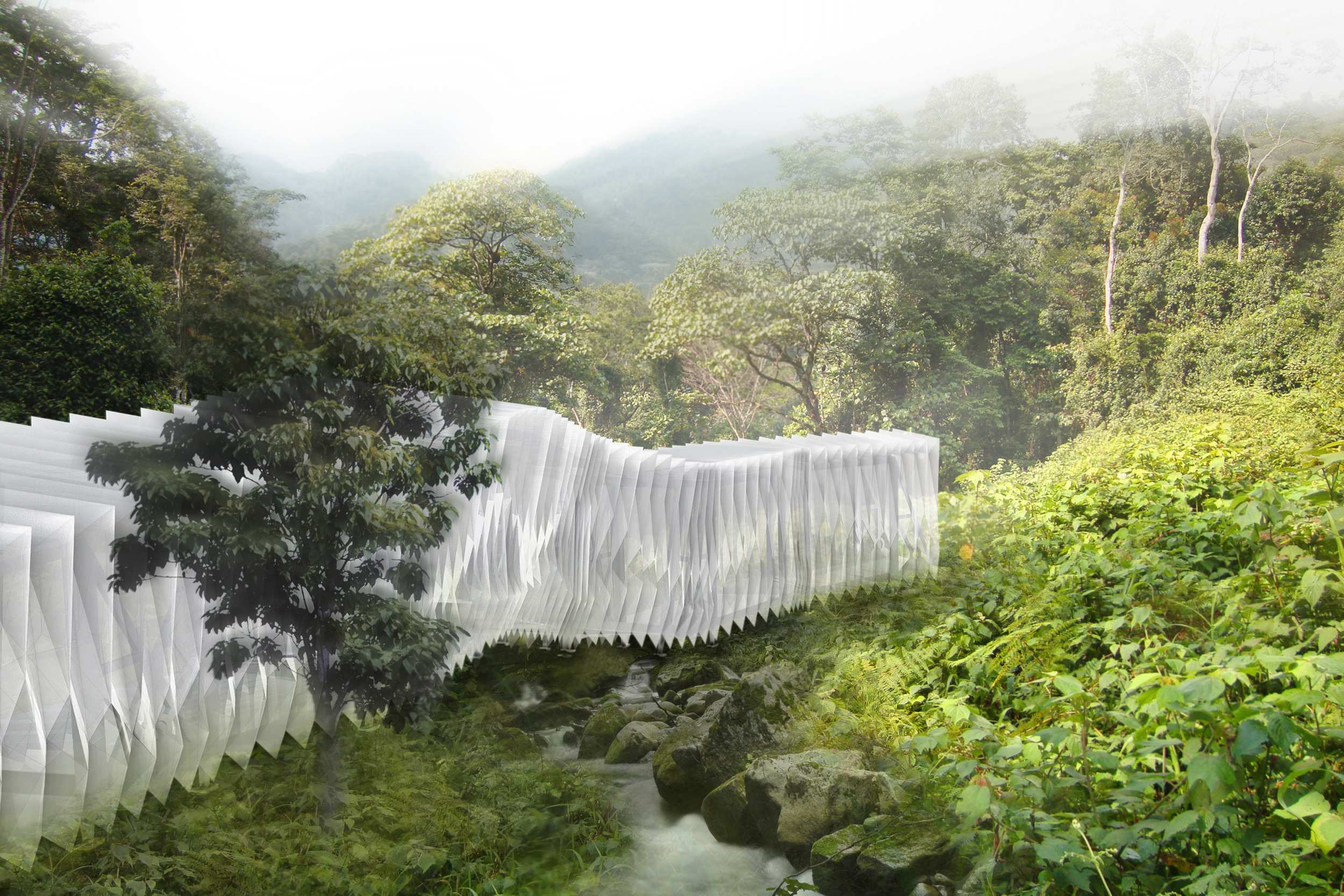 WEB_modhouseForest.jpg
