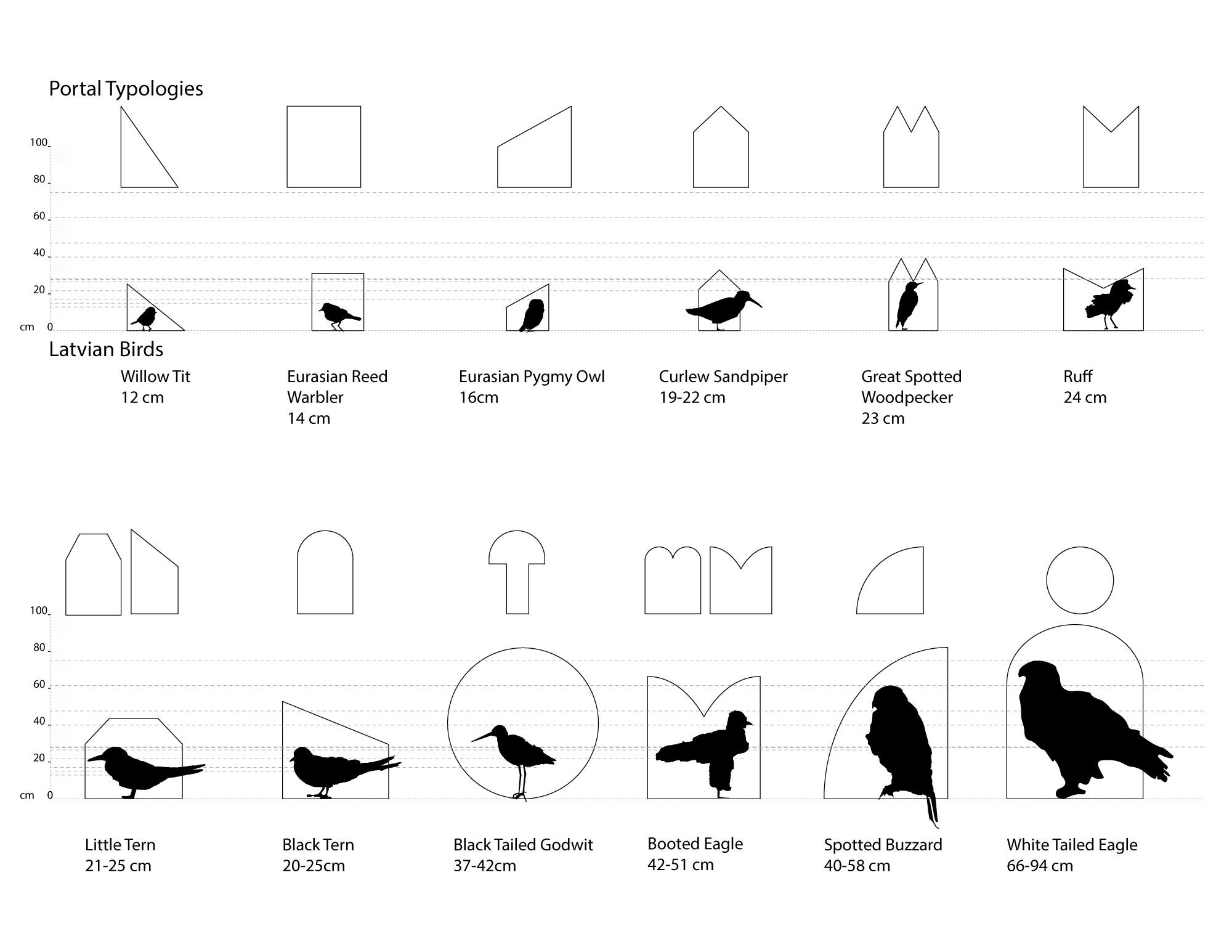 bird_diagram.jpg
