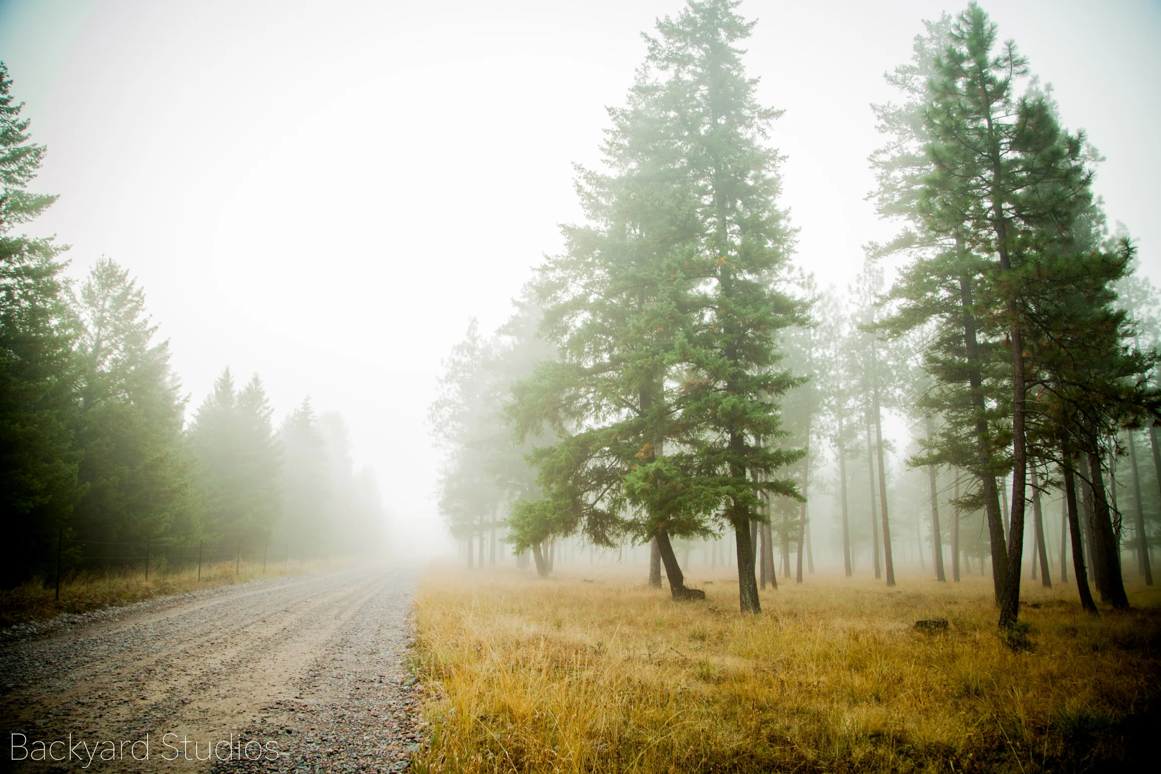 God Has No Grandchildren