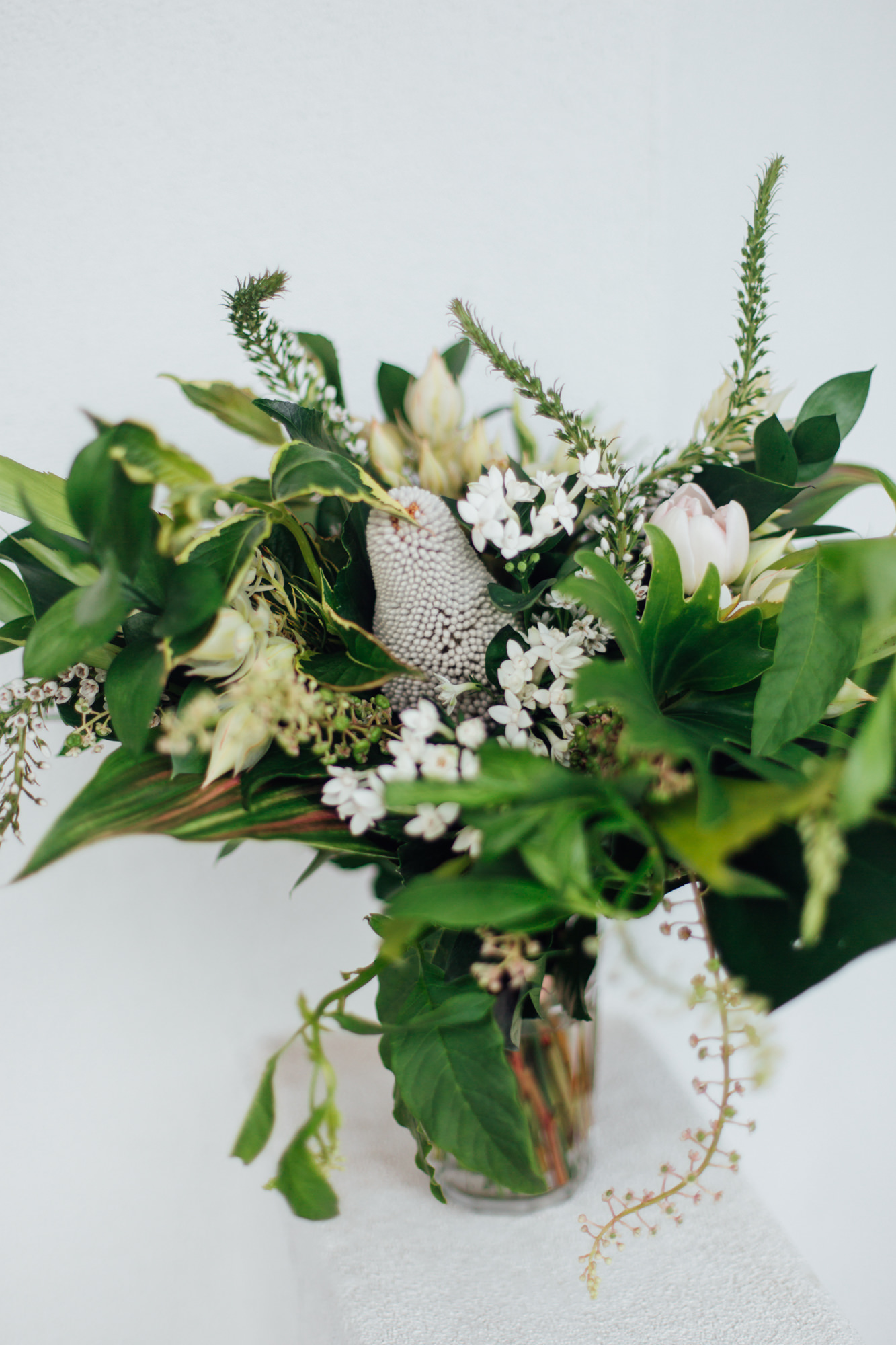 San Diego Elopement, Cardiff by the sea Elopement, San Diego Wedding Photographer, Backyard wedding, Beach Wedding Photographer, San Diego Wedding photography, Places to Elope in San Diego, California