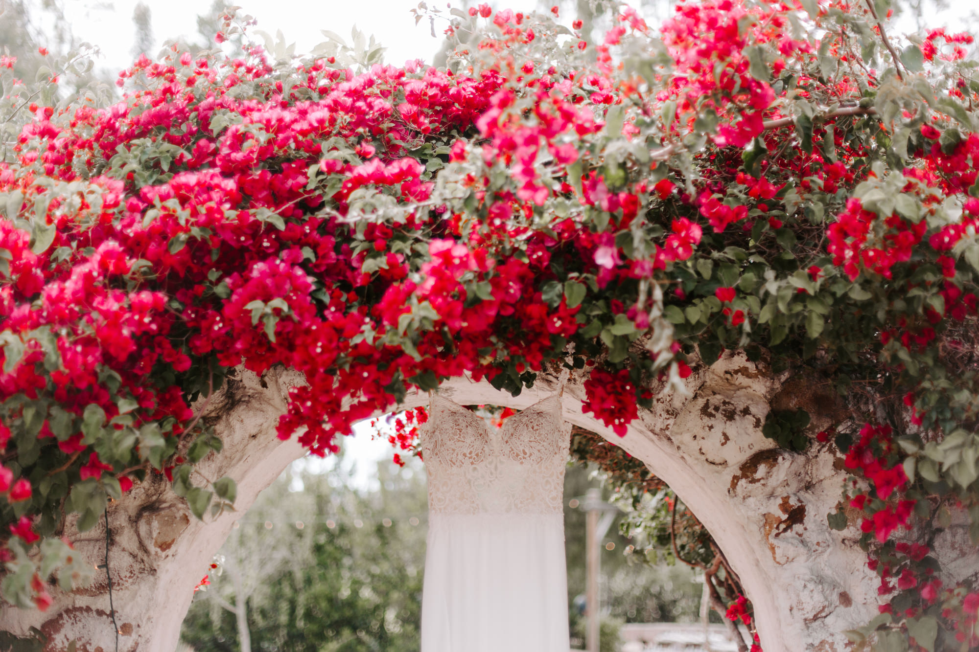 San Diego Wedding Photographer, San Diego Wedding Venue, san diego Wedding ideas, Leo Carrillo Ranch, Leo Carrillo Ranch wedding, Carlsbad wedding, Leo Carrillo Ranch wedding, wedding Ideas