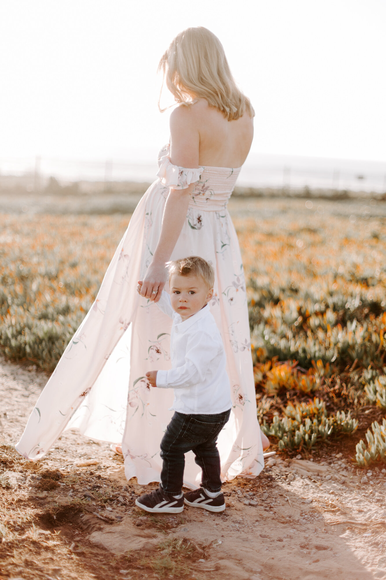 Carlsbad Bluff Maternity and Family Photo Session, San Diego. Family photography and maternity photography. Family photographer and maternity photographer. San Diego family photographer, san diego