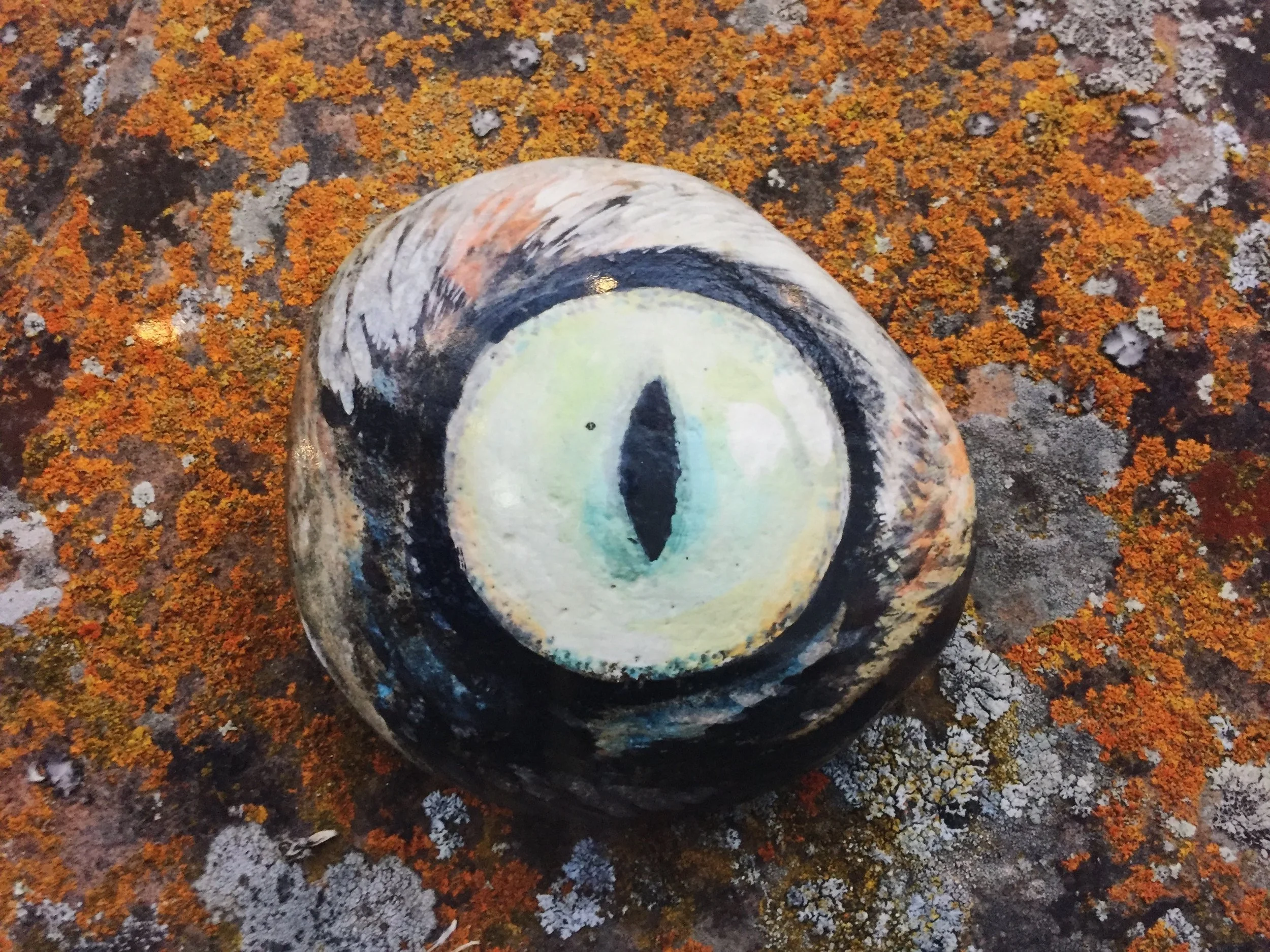 Non-ophthalmic Winner: Juliette Gionfriddo, “Stony Stare”