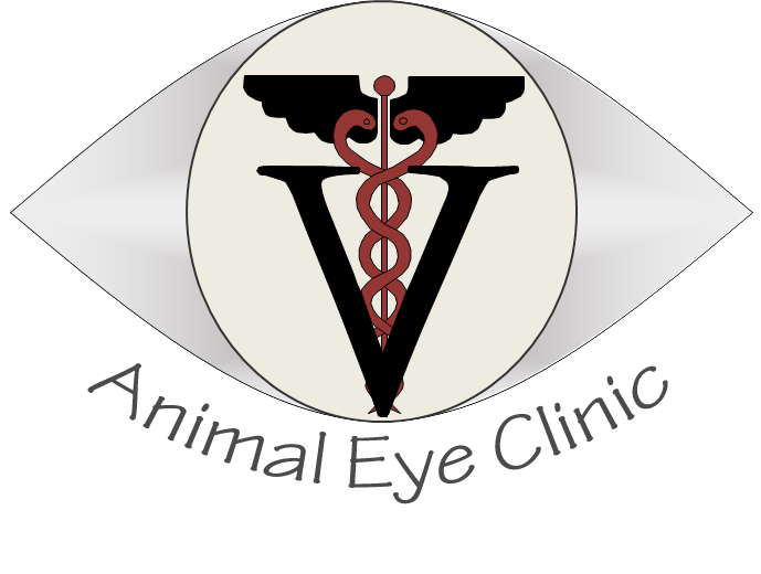 New AEC logo.png