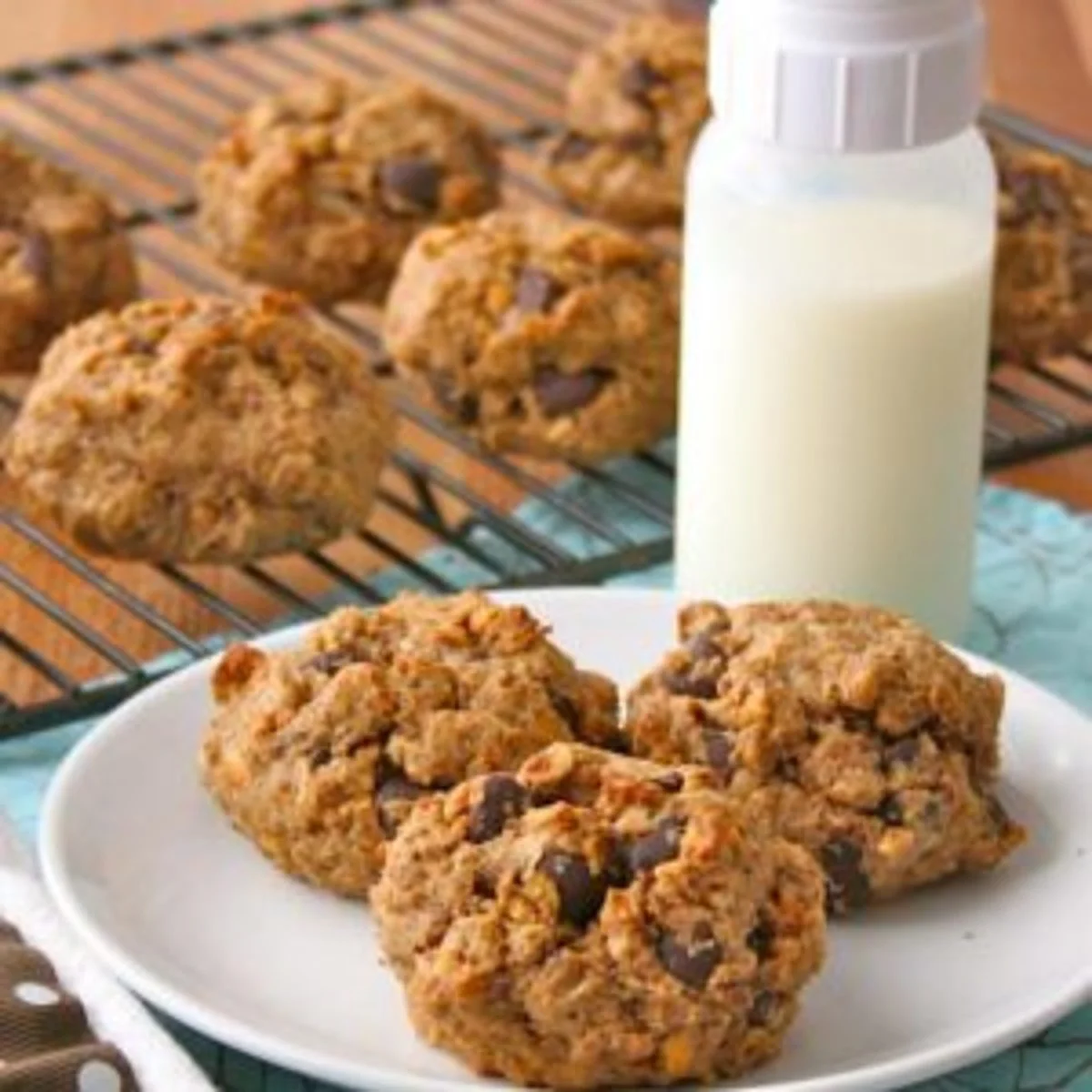 This Month's Recipe: Chocolatey Oatmeal Cookies!