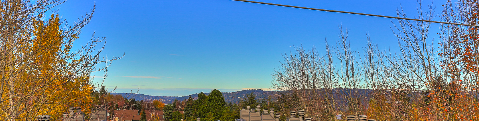 View from Rooftop Terrace