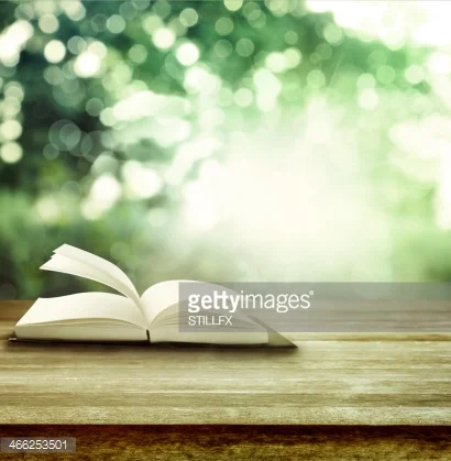 Things you need to know about the book " Hidden Champions of the 21 Century"
