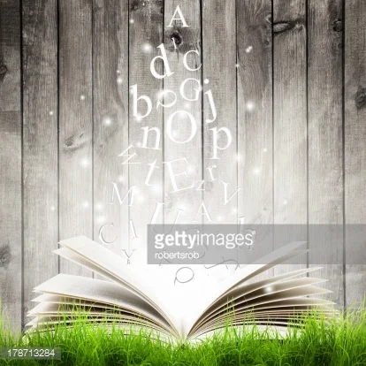 Things you need to know about the book " Passion and Purpose"