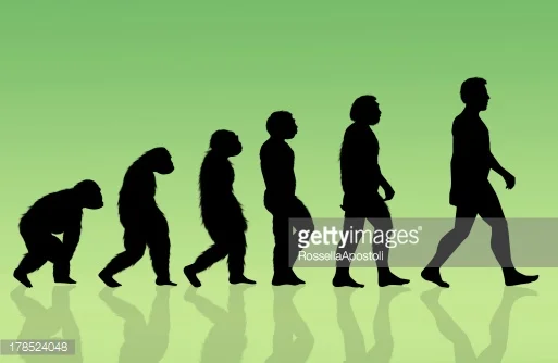 Photo by RossellaApostoli/iStock / Getty Images