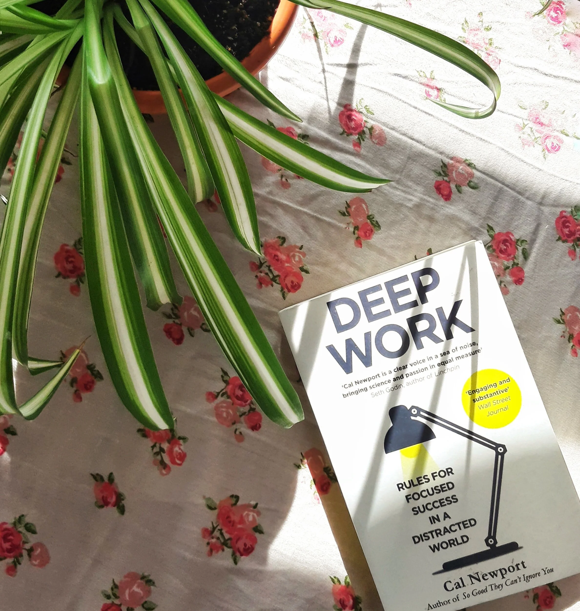 Mastering the Art of Productivity To Unleash Your Potential for Success