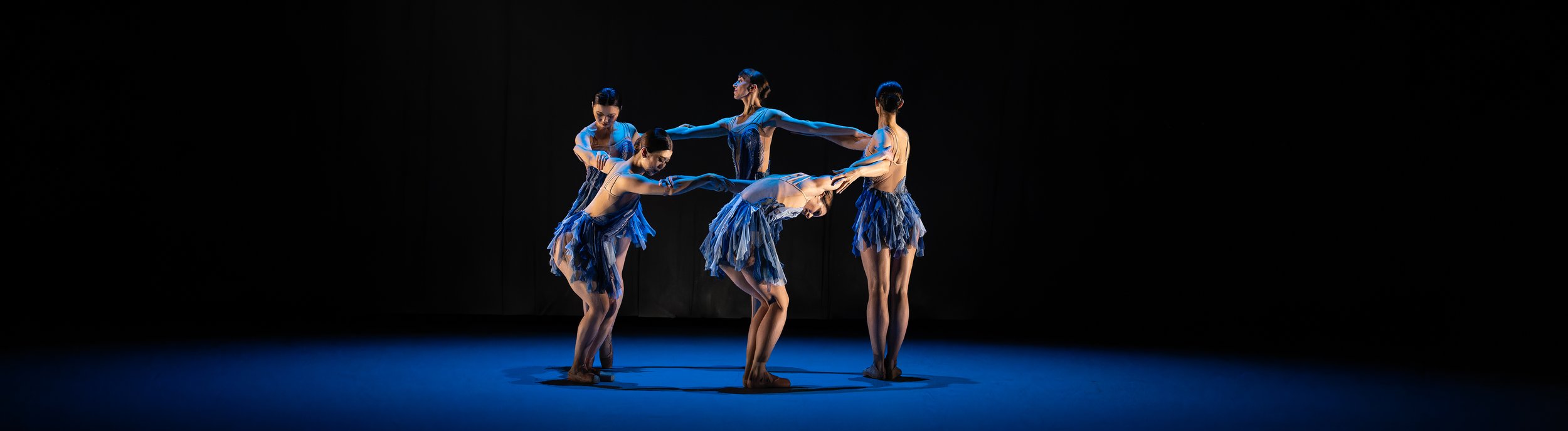 Une ode à Kiran & Pradeep__DCW5649-ARW_@davidwong.JPG