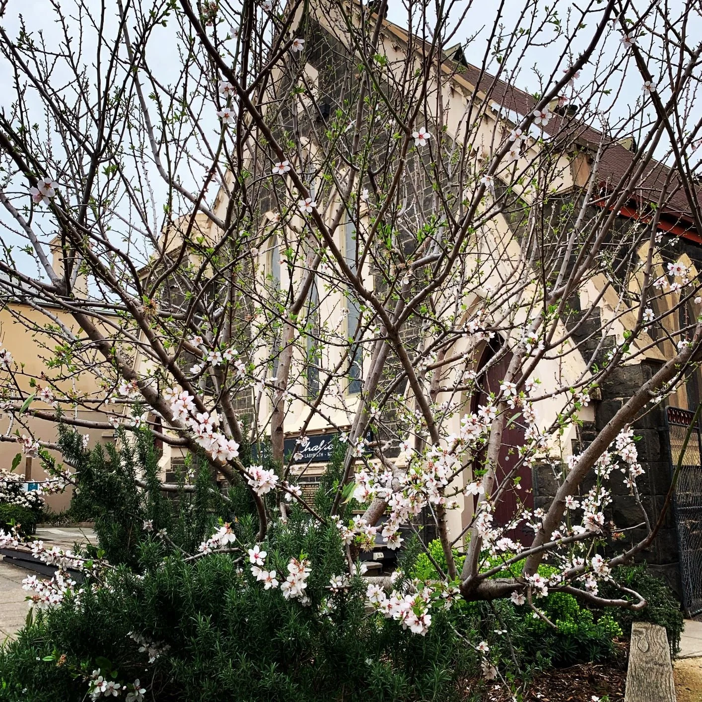 A History of Northcote Uniting Church