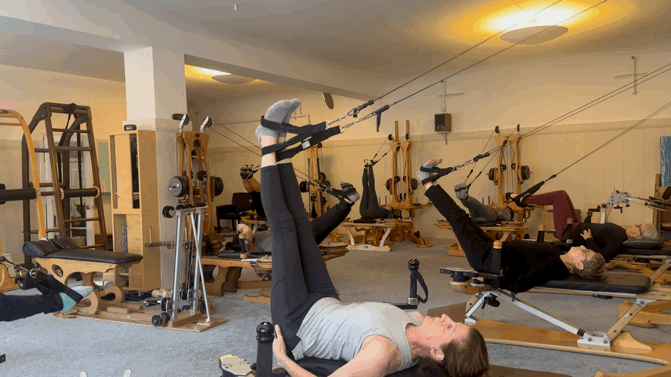 Class Hamstrings.GIF