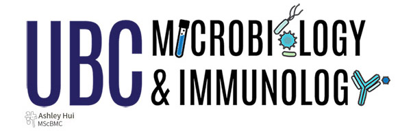 UBC Microbiology & Immunology Student Association – banner design