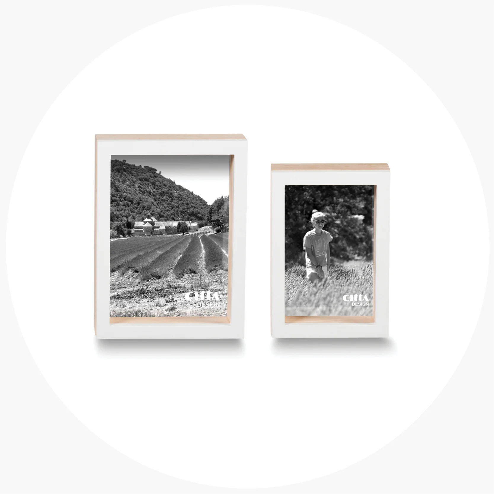 2inspiring art.trixie frames$89.90