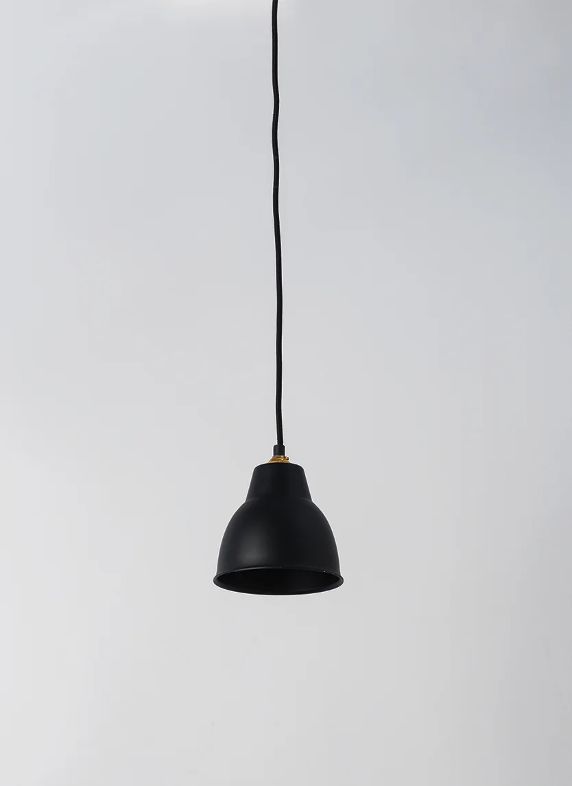 Black Courbe Pendant Light$79.90