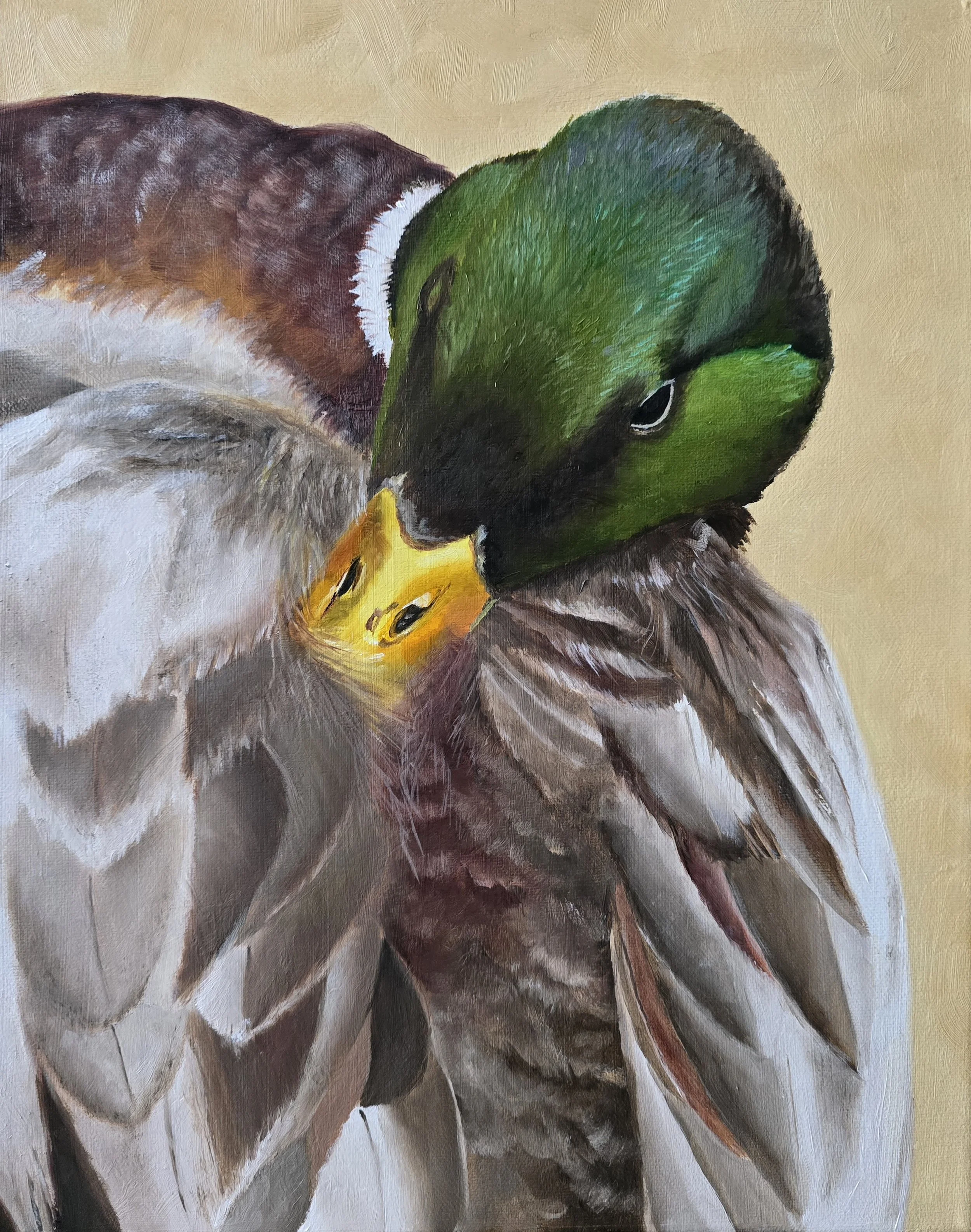Mallard