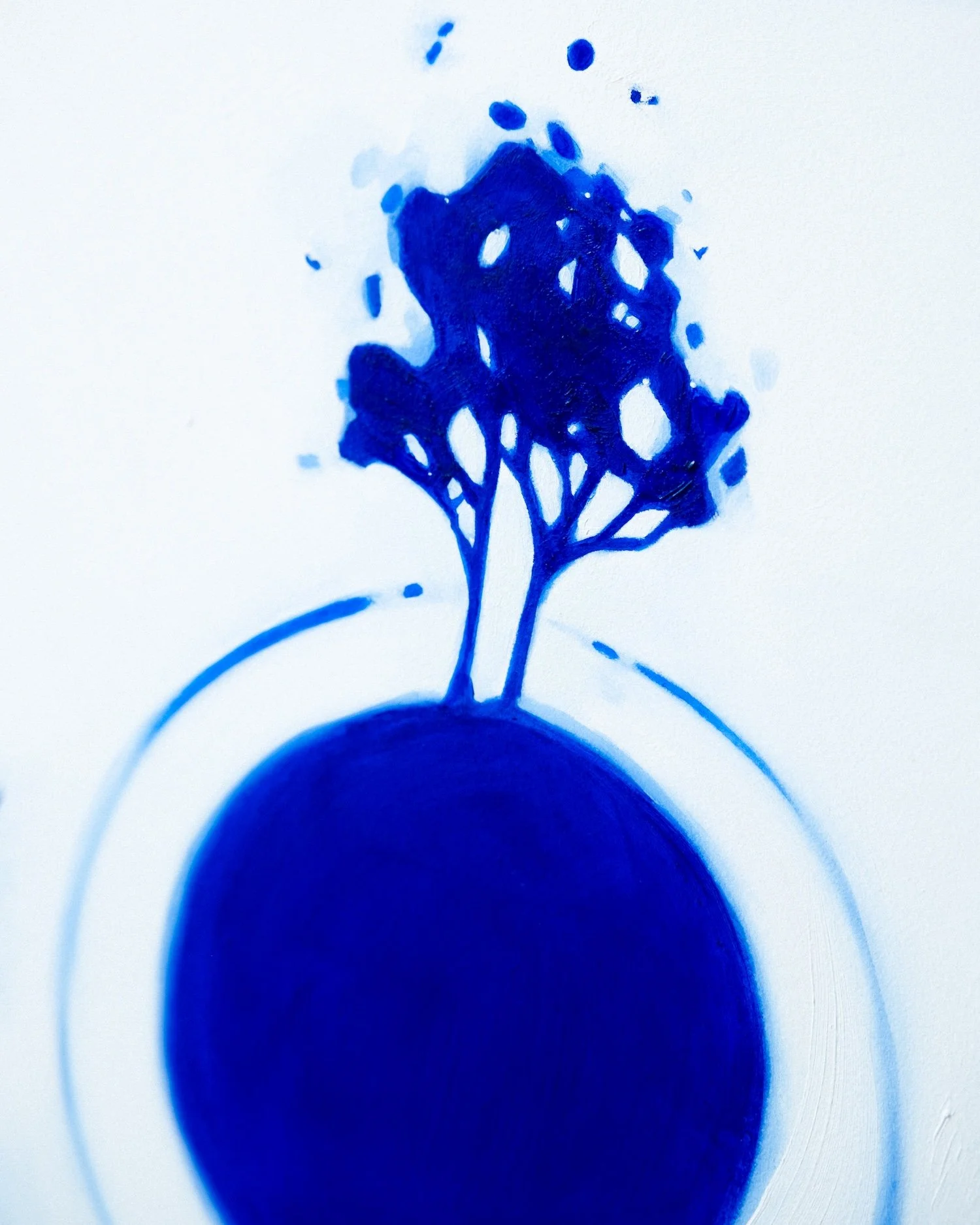 DSCF6473.jpg