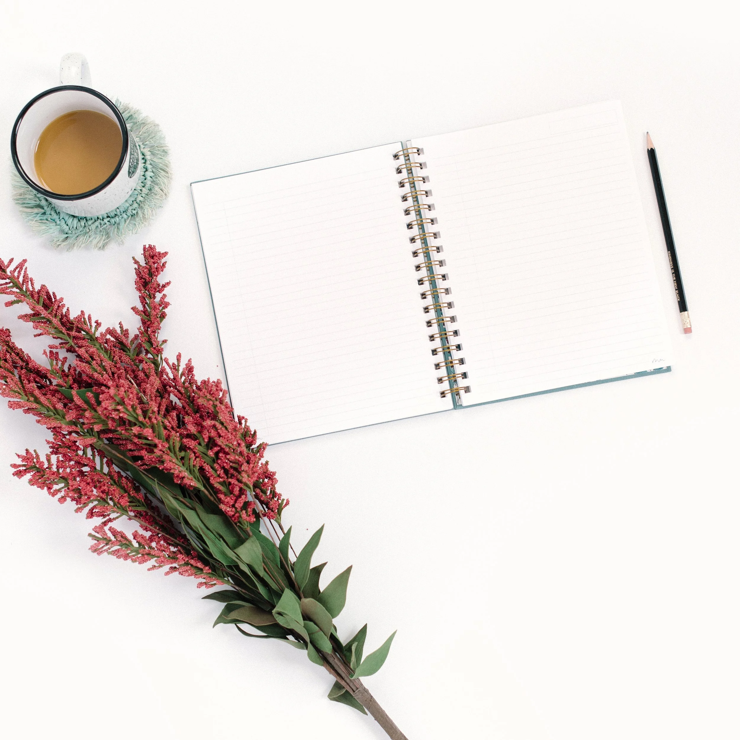 Manuscript Assessment: First 50 Pages