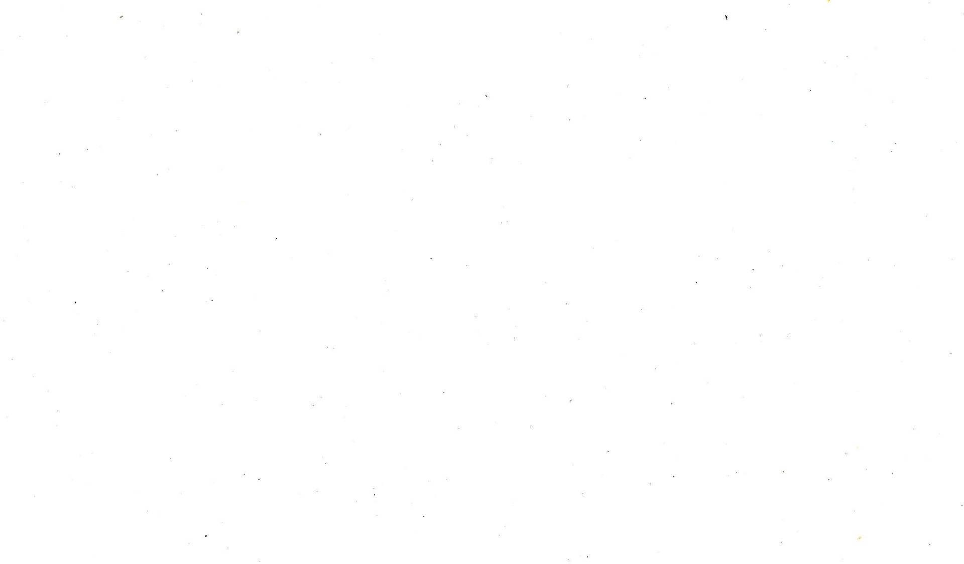 blank-white-7sn5o1woonmklx1h (1).jpg