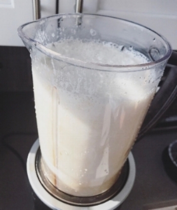 almond mylk blender side view.jpeg