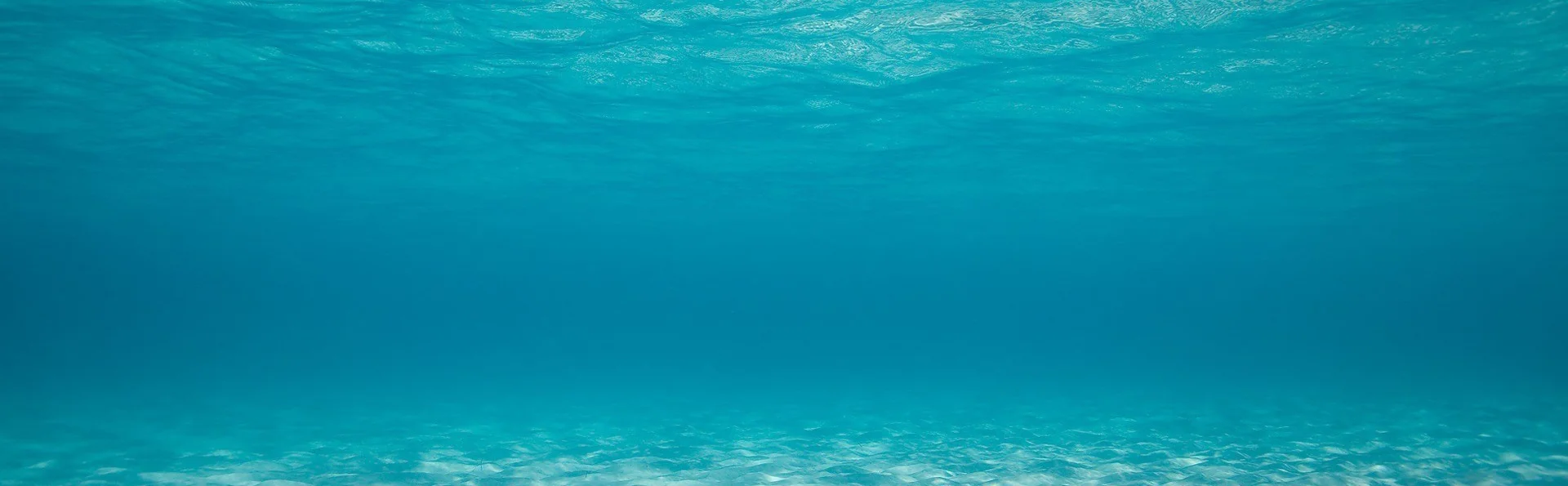sailing.jpg