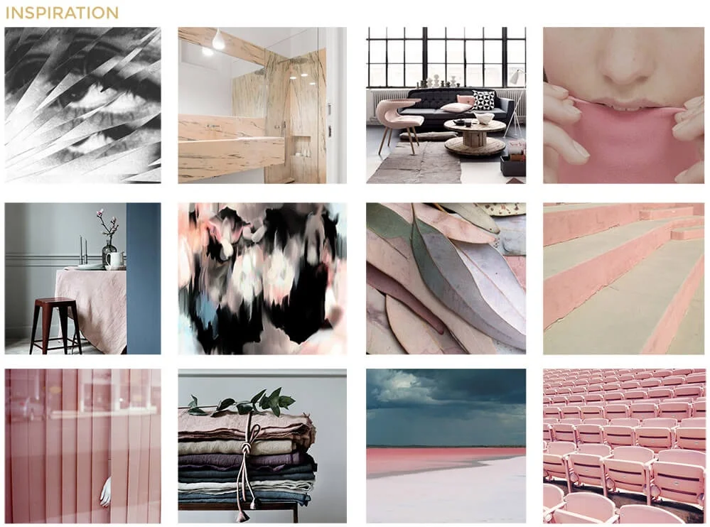 Concept inspo board.jpg