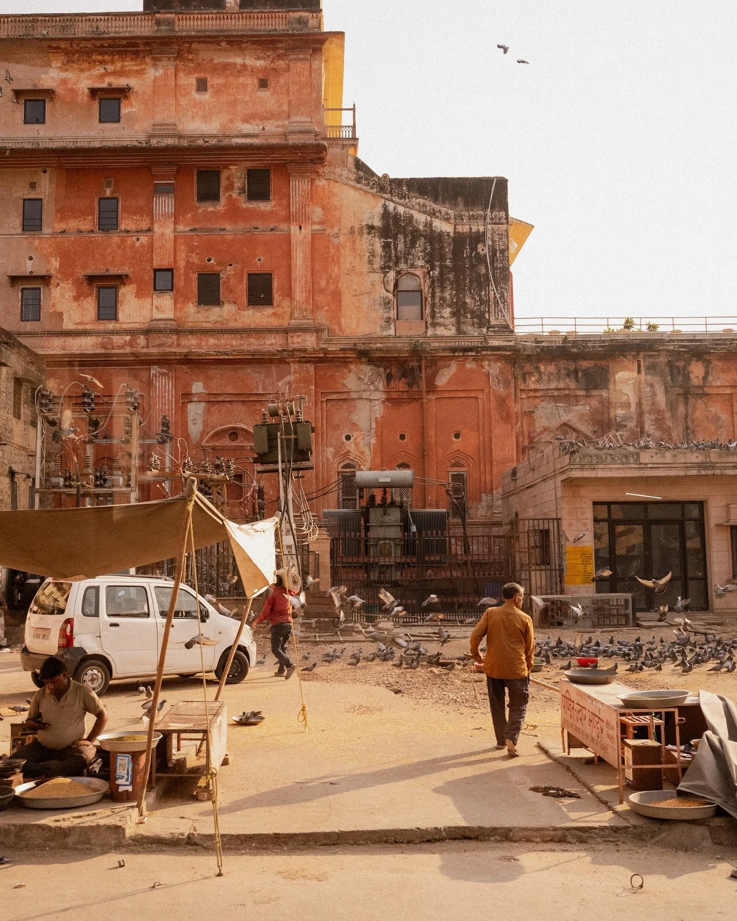 The golden hues of India ⭐️👑🔑