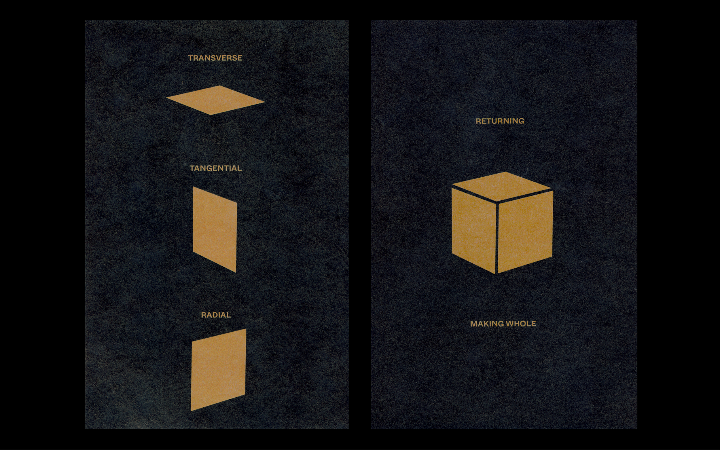 Plates-Web-Ready5.png