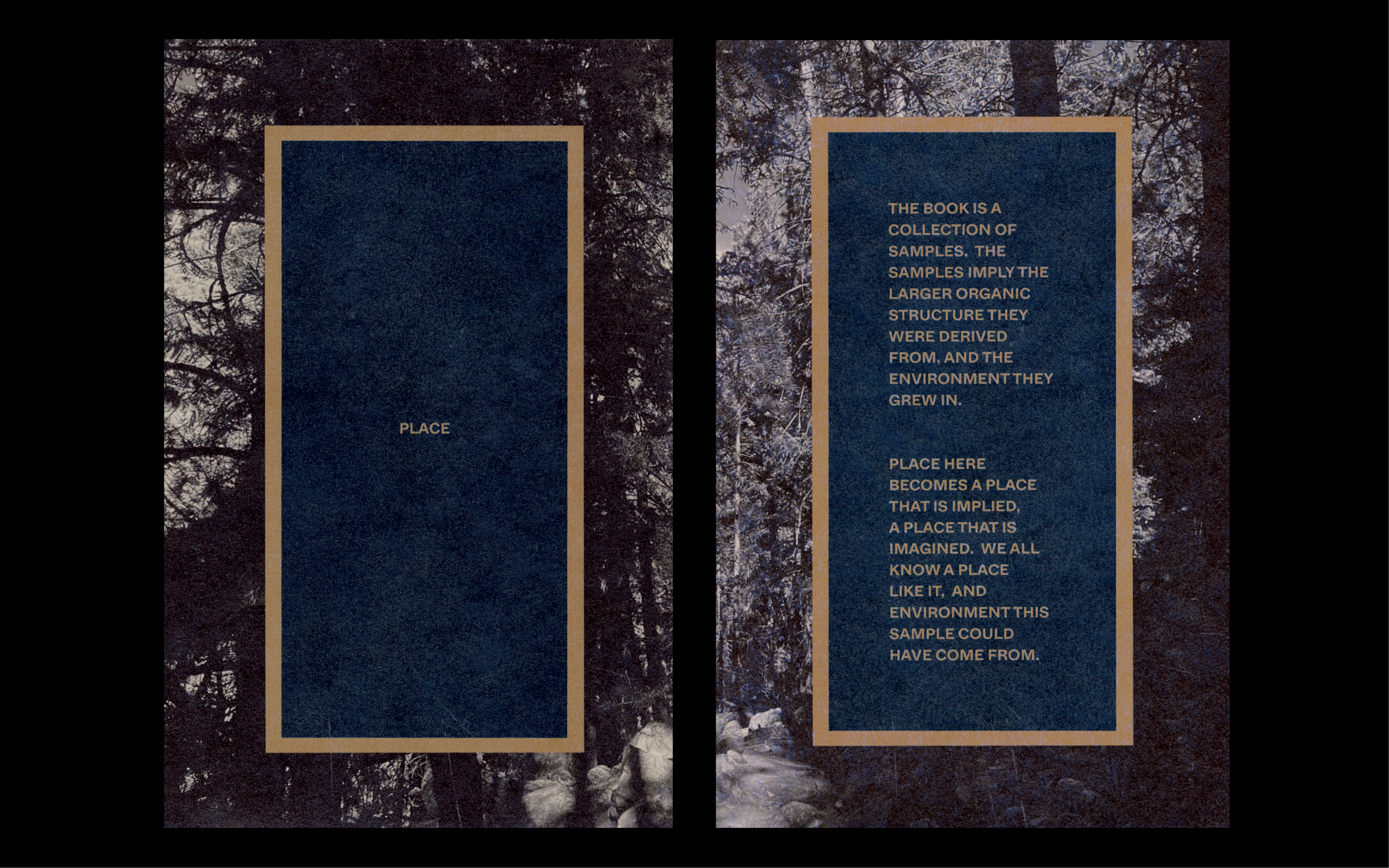 Plates-Web-Ready6.png