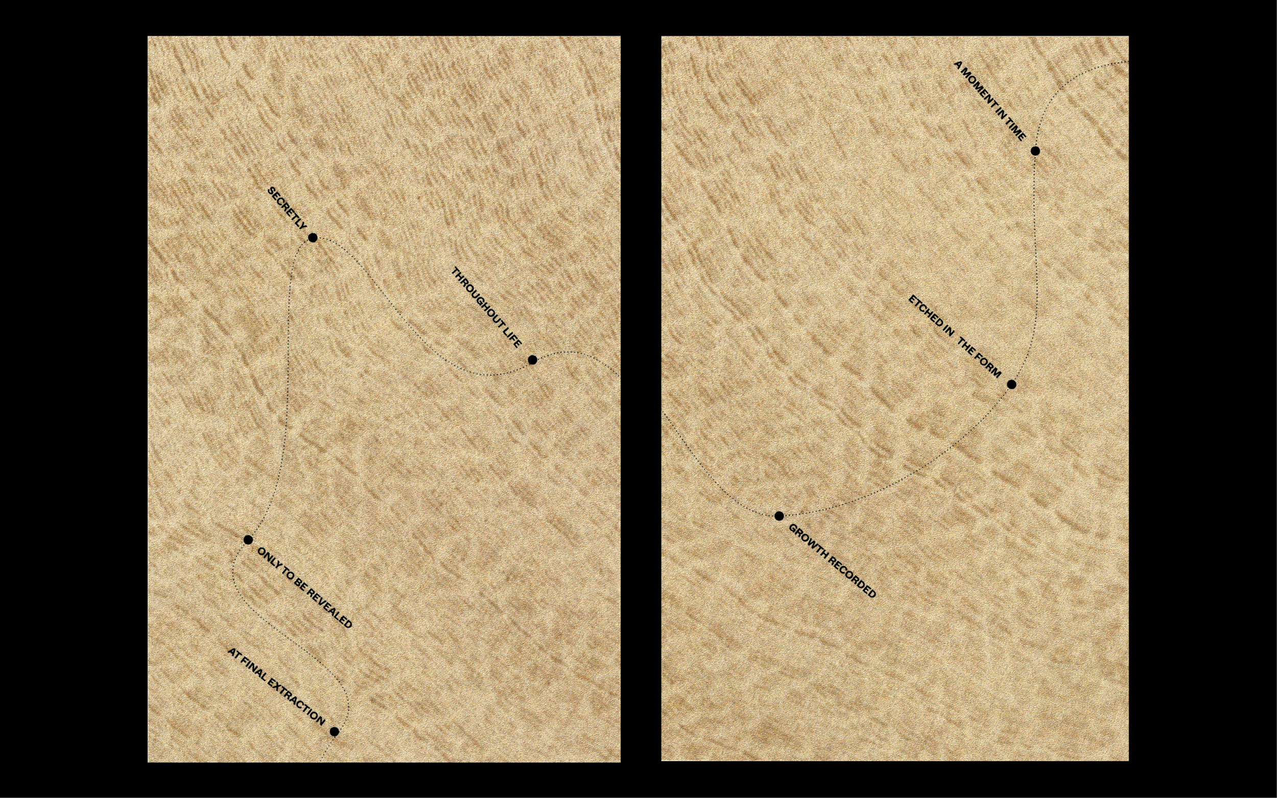 Plates-Web-Ready7.png