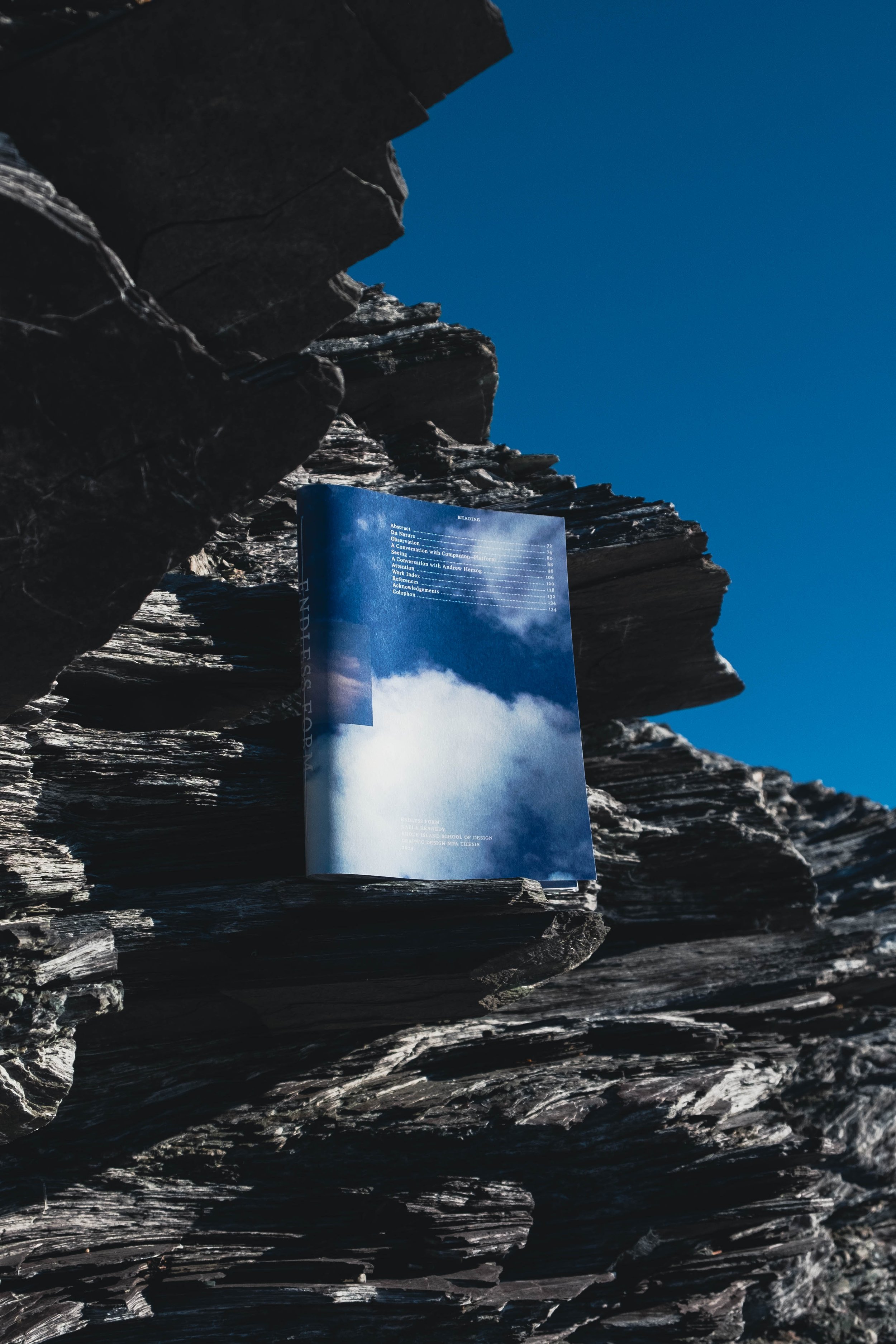 endlessForm-30.jpg