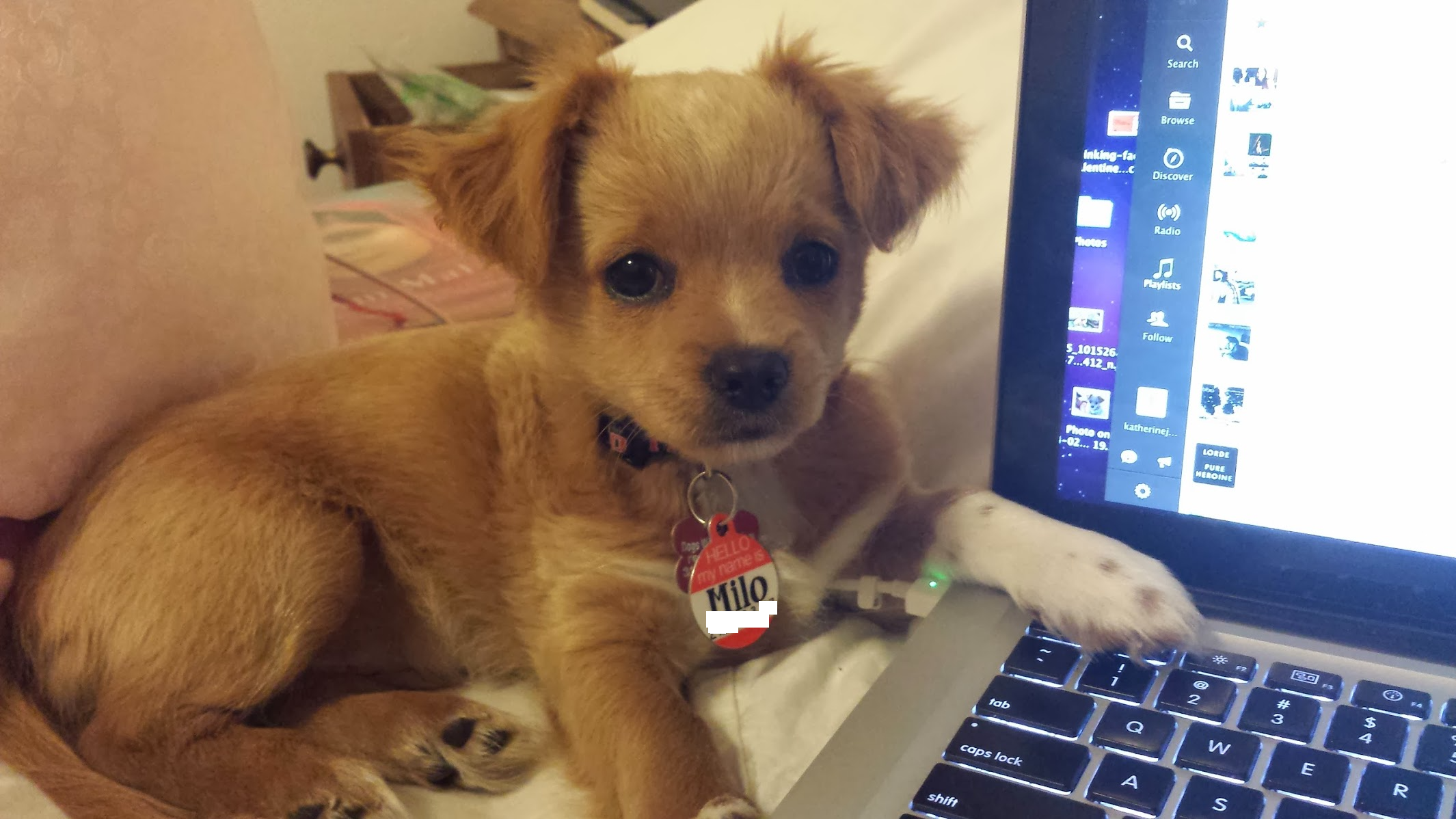 He's also proficient at Tableau data visualization and python data cleaning tools! 