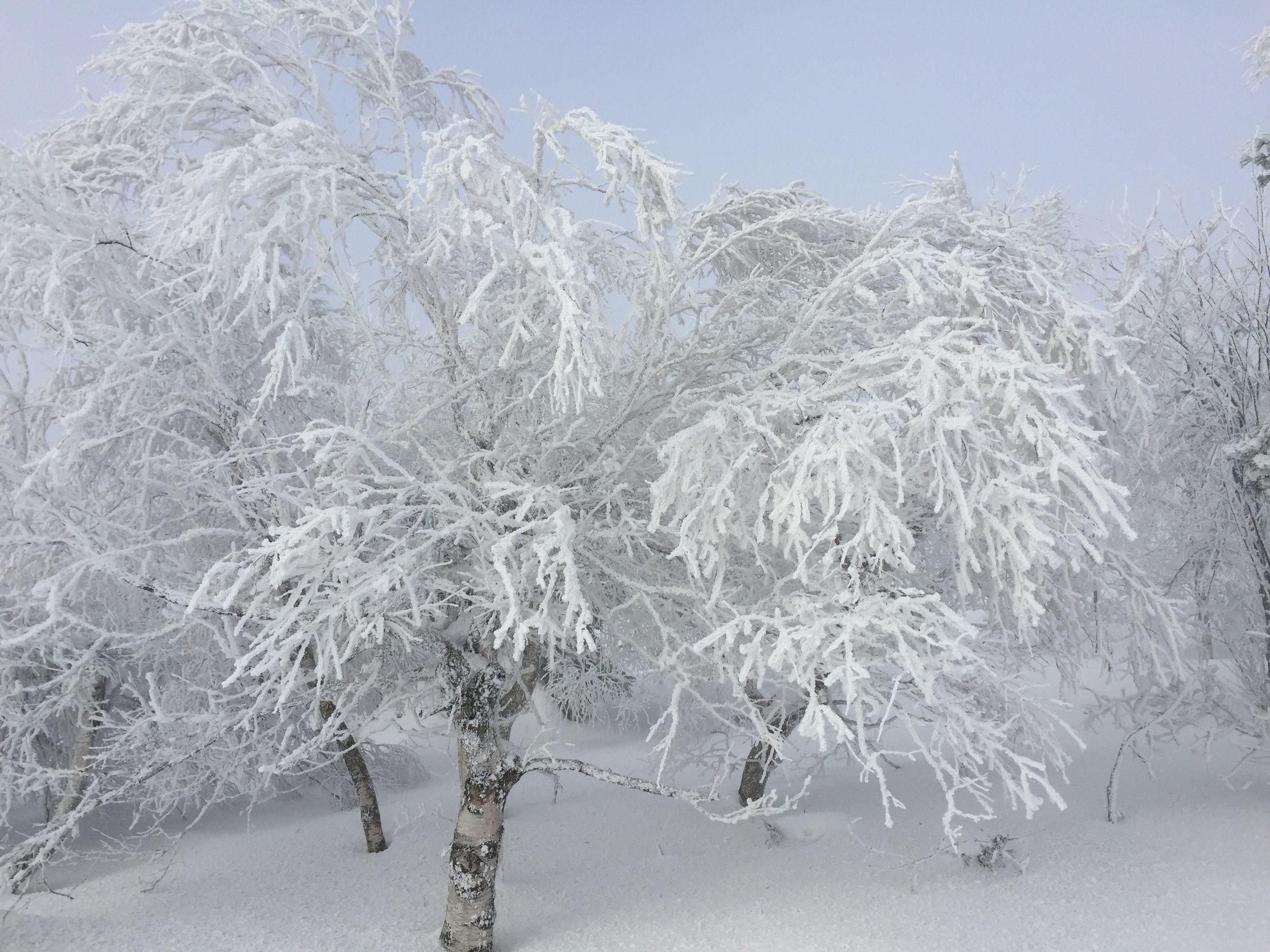A picture taken near the campus of Dresden