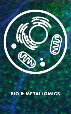 Bio and Metallomics