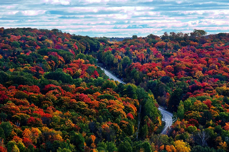 View from Dorset Fire Tower