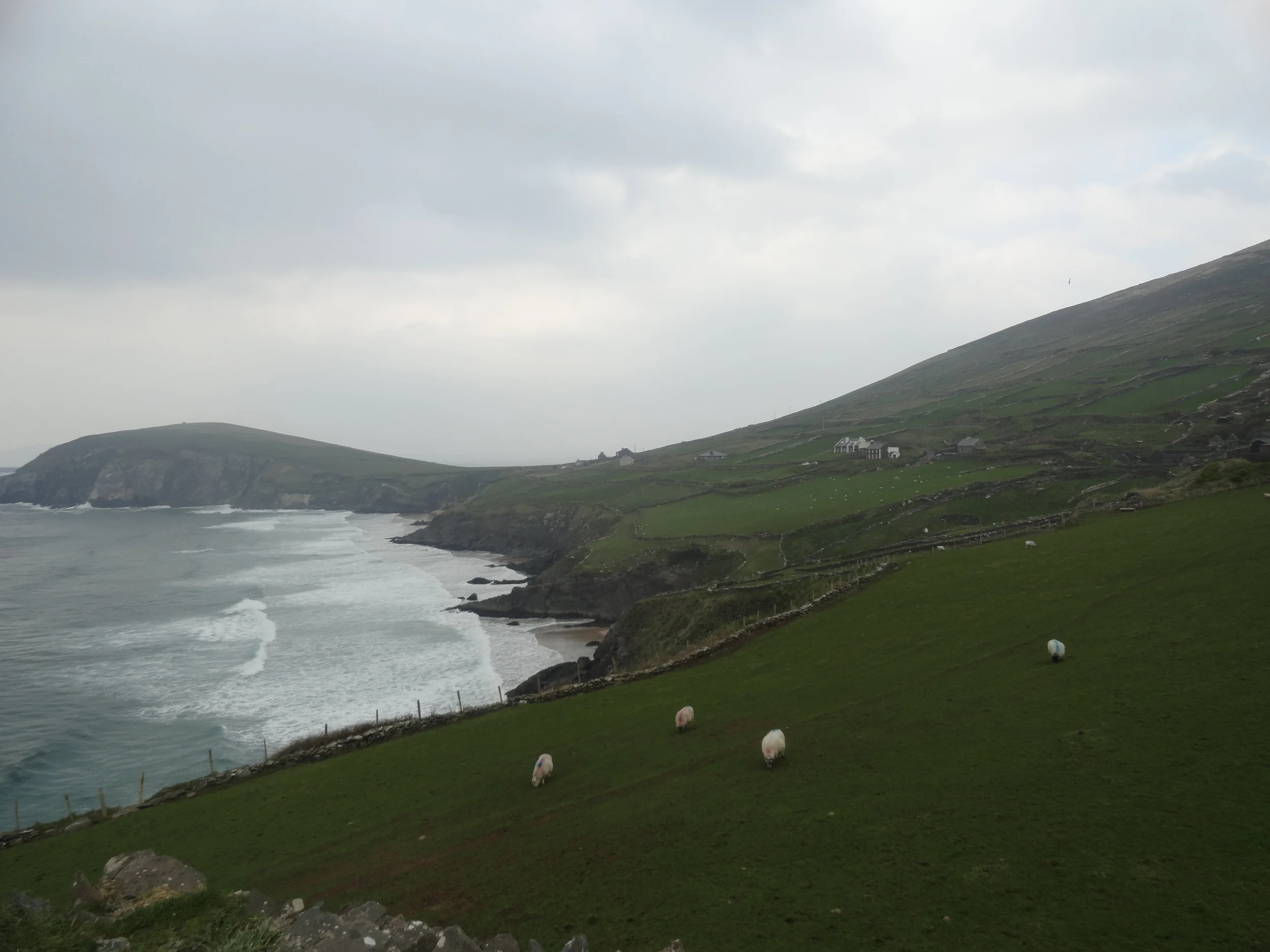 The Irish Countryside