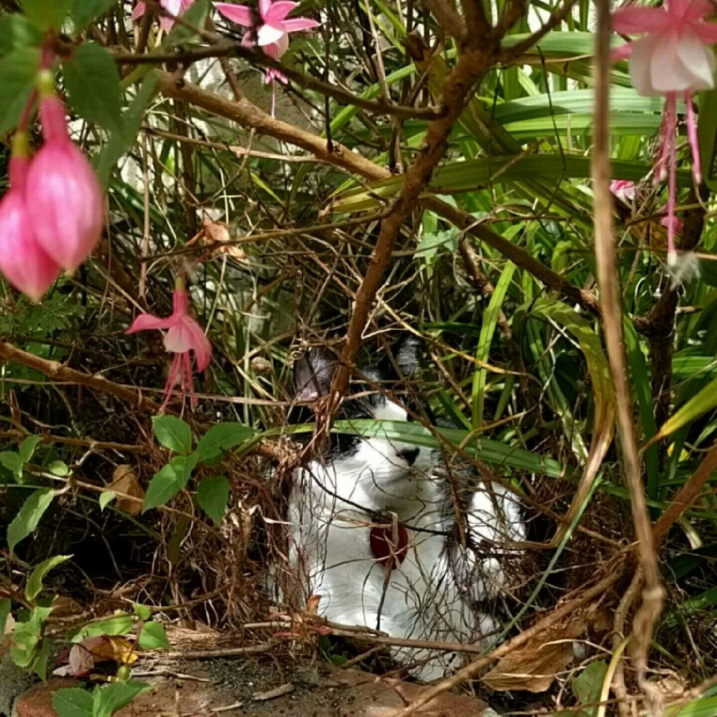 L.C. getting in touch with nature