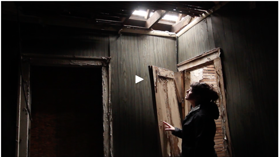 flower house was introduced to the world with this stunning mini film from na frenette.