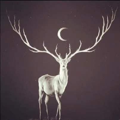 As an Earth creature, the Stag helps keep you grounded. The Spirit of Stag provides protection and lets you explore new dimensions without fear of losing your sense of Self. Image found on Pinterest