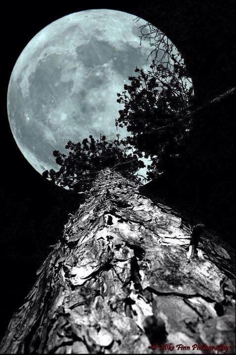 Image found on Pinterest