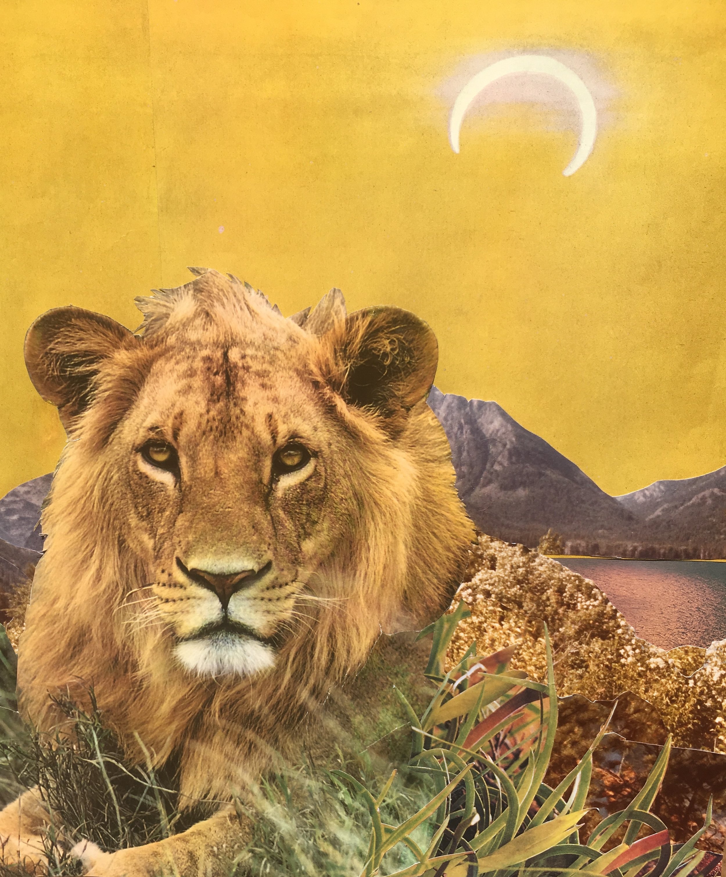 "Shine", Visual affirmation for new moon and lunar eclipse in Leo, by Janna Dorothy
