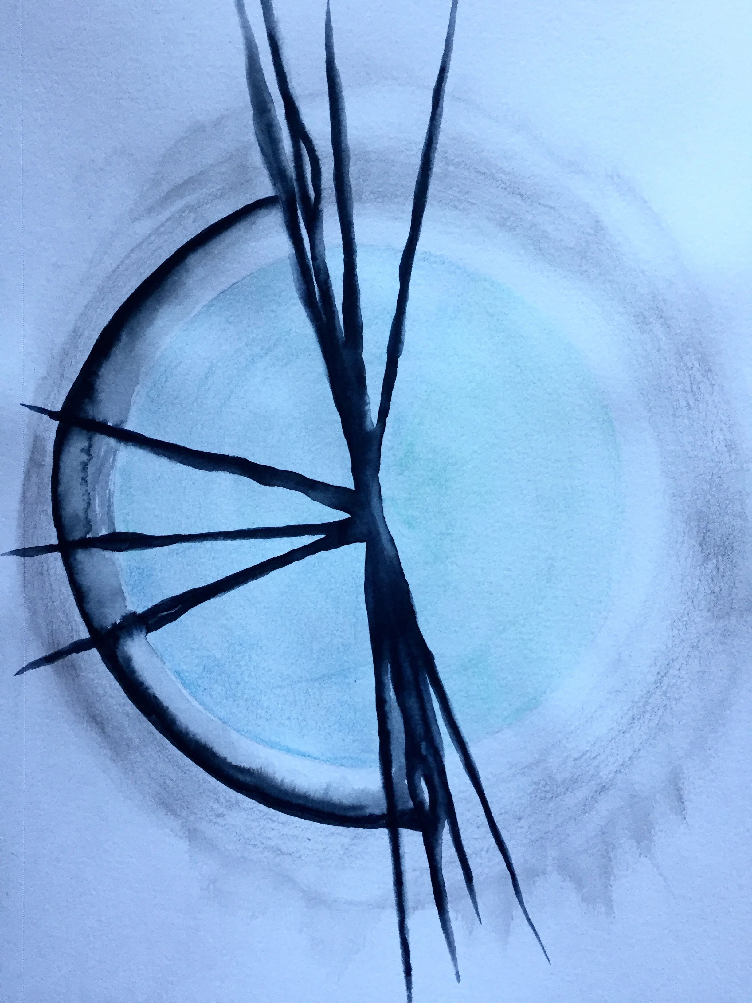 Portrait of the full moon/lunar eclipse in Capricorn - July 16, 2019