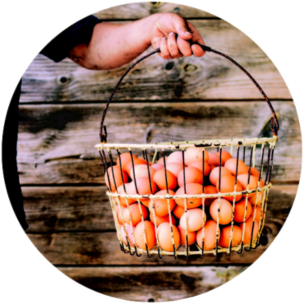 29682220-a726-4cad-856e-55f0efe1f23b.png